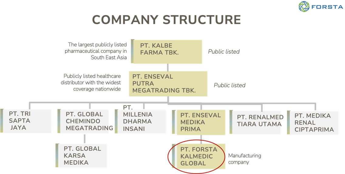 company structure
